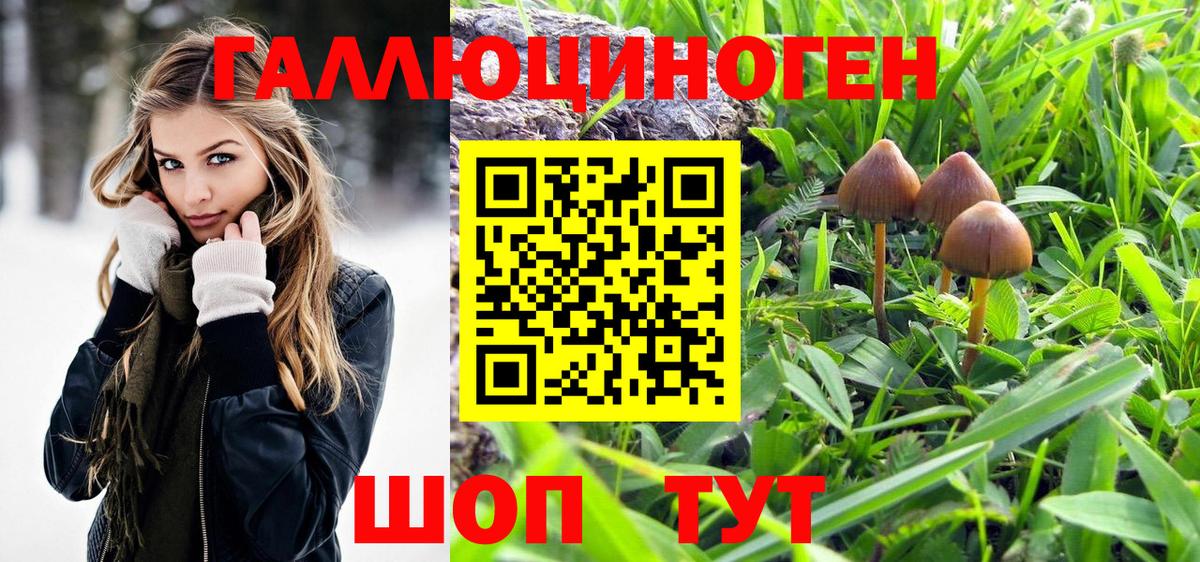 Галлюциногенные грибы Cubensis  Вход с VPN  магазин    Белебей 